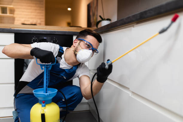 Best Cockroach Control Services  in Wellston, MO