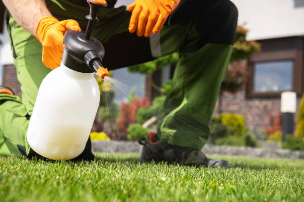 Best Affordable Pest Control Services  in Wellston, MO
