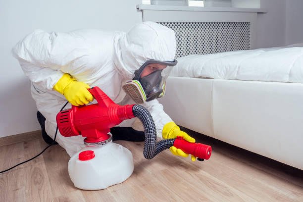 Best Local Pest Control Services  in Wellston, MO