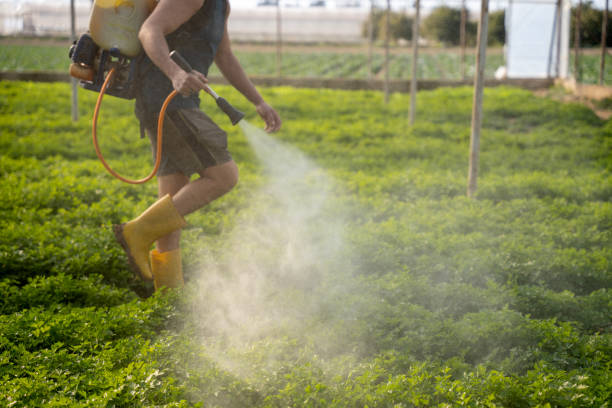 Best Pest Removal Services  in Wellston, MO