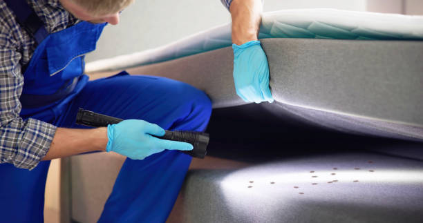 Best Bed Bug Extermination  in Wellston, MO
